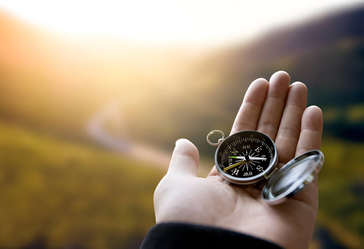 steptodown.com119313